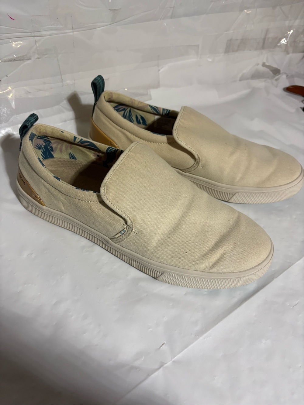 Toms Slip-On Sneakers in Cream with Blue Accents